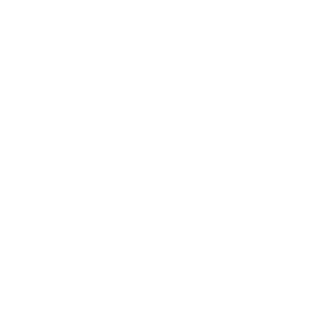 A green background with the word " ludimos ".